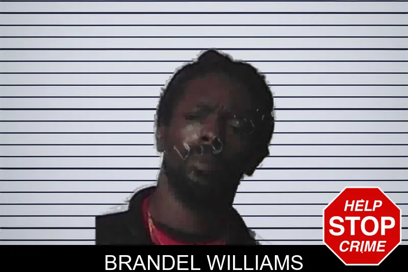 Brandel Williams mugshot
