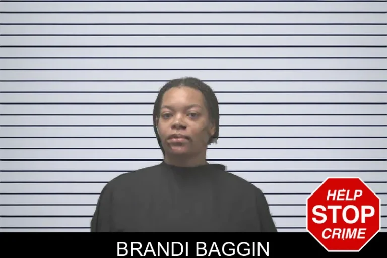Brandi Baggin mugshot – Coweta County , Georgia Brandi Baggin