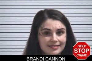 Brandi Cannon mugshot