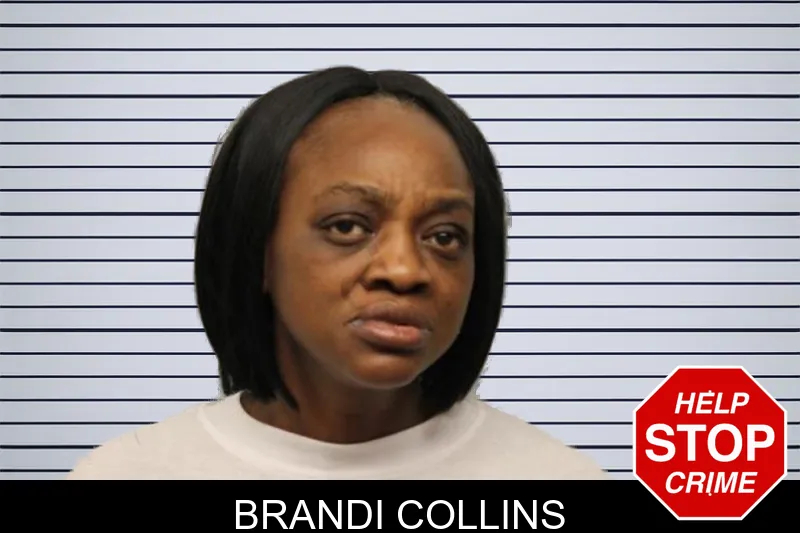 Brandi Collins mugshot