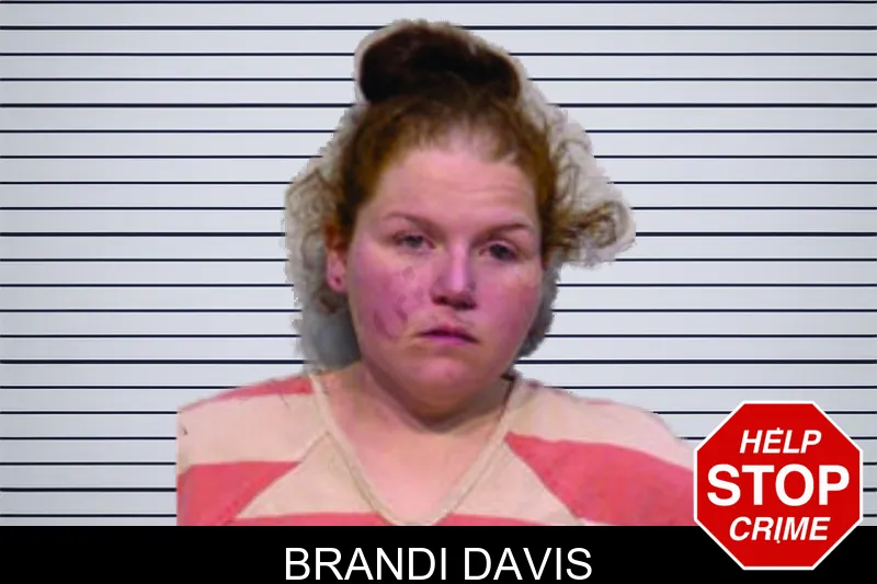 Brandi Davis mugshot