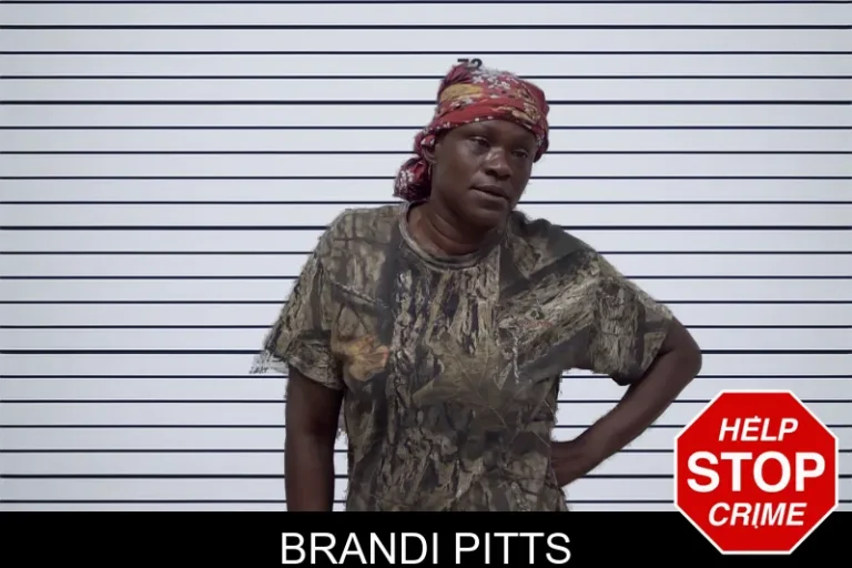 Brandi Pitts mugshot – Irwin County , Georgia Brandi Pitts