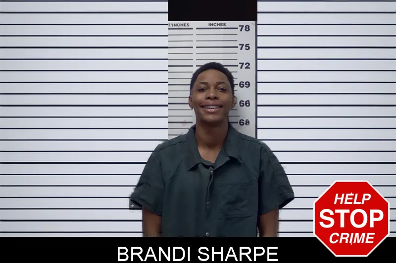 Brandi Sharpe mugshot – Irwin County , Georgia Brandi Sharpe mugshot