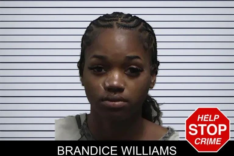 Brandice Williams mugshot – Tift County , Georgia Brandice Williams