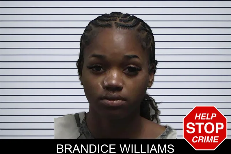 Brandice Williams mugshot