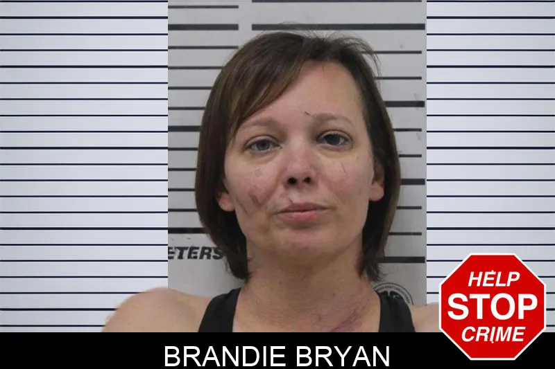 Brandie Bryan mugshot