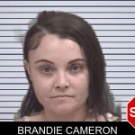 Brandie Cameron mugshot