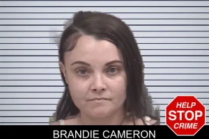 Brandie Cameron mugshot