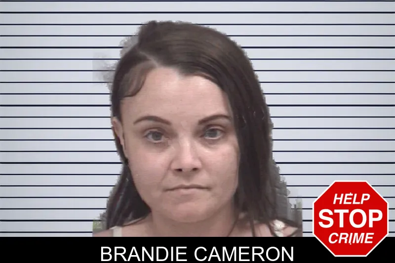 Brandie Cameron mugshot