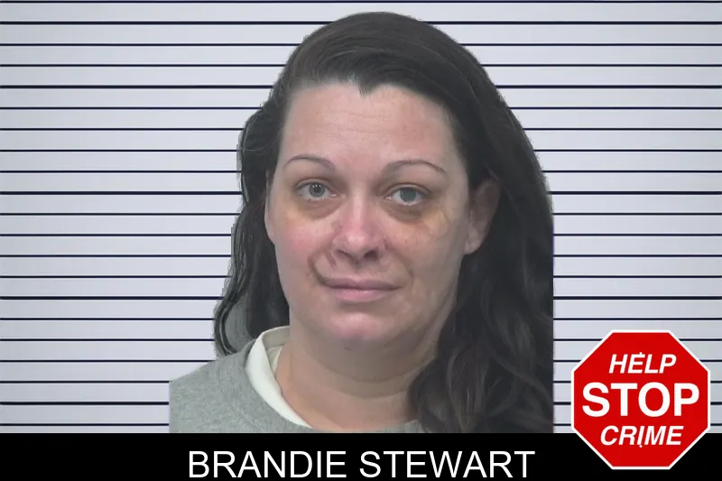 Brandie Stewart mugshot