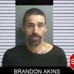Brandon Akins mugshot