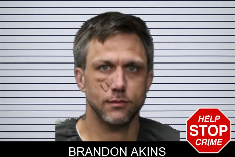 Brandon Akins mugshot