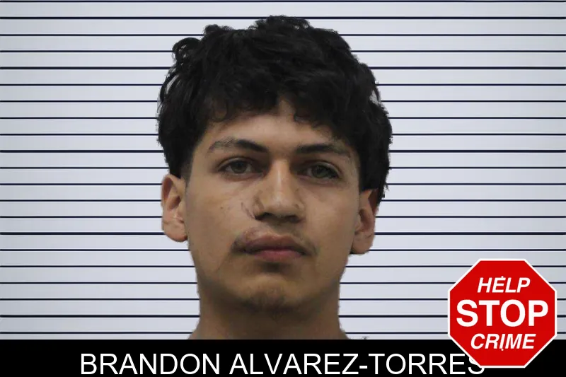 Brandon Alvarez-Torres mugshot