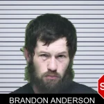 Brandon Anderson mugshot