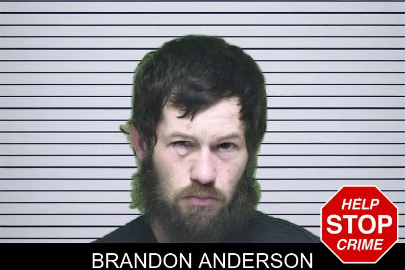 Brandon Anderson mugshot