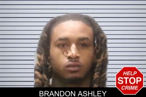 Brandon Ashley mugshot