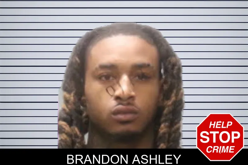 Brandon Ashley mugshot