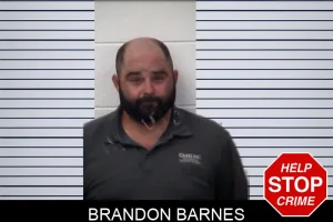 Brandon Barnes mugshot