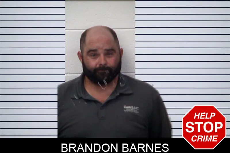 Brandon Barnes mugshot