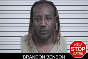Brandon Benson mugshot