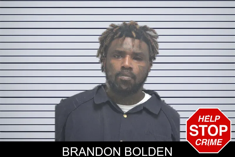 Brandon Bolden mugshot