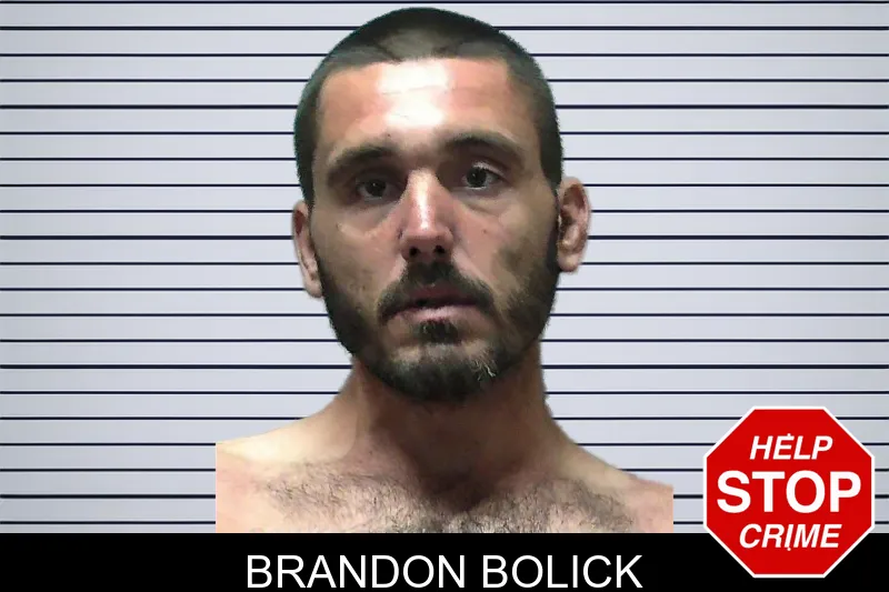 Brandon Bolick mugshot
