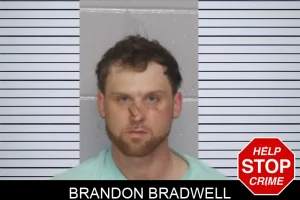 Brandon Bradwell mugshot