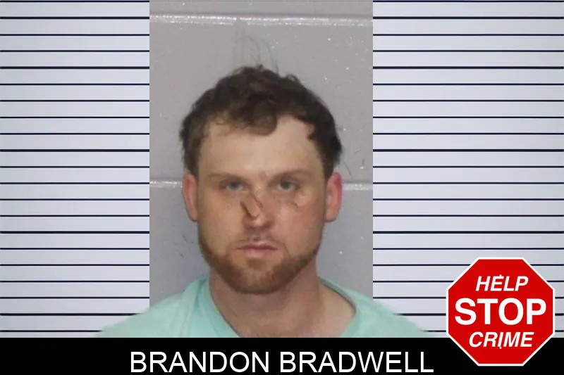 Brandon Bradwell mugshot