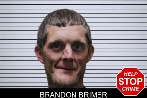 Brandon Brimer mugshot