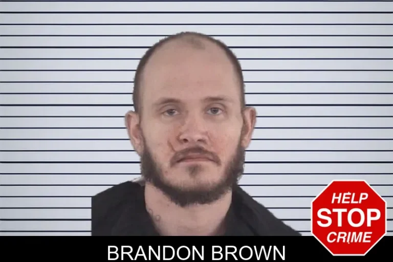 Brandon Brown