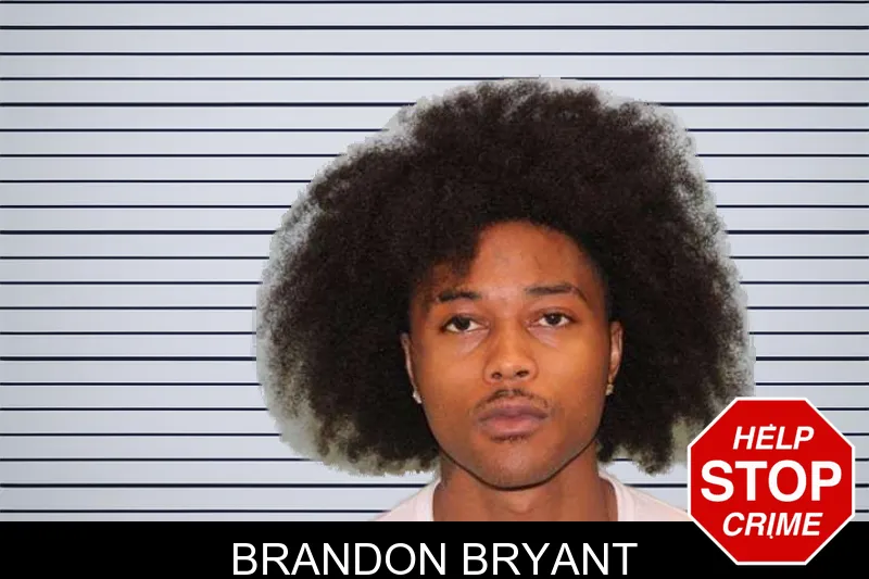 Brandon Bryant mugshot – Grady County , Georgia Brandon Bryant mugshot