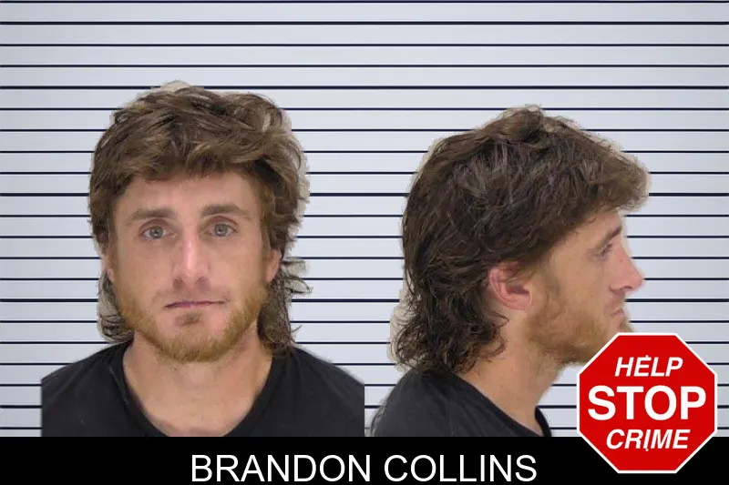 Brandon Collins mugshot