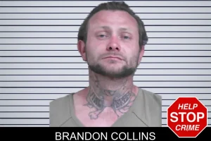 Brandon Collins mugshot