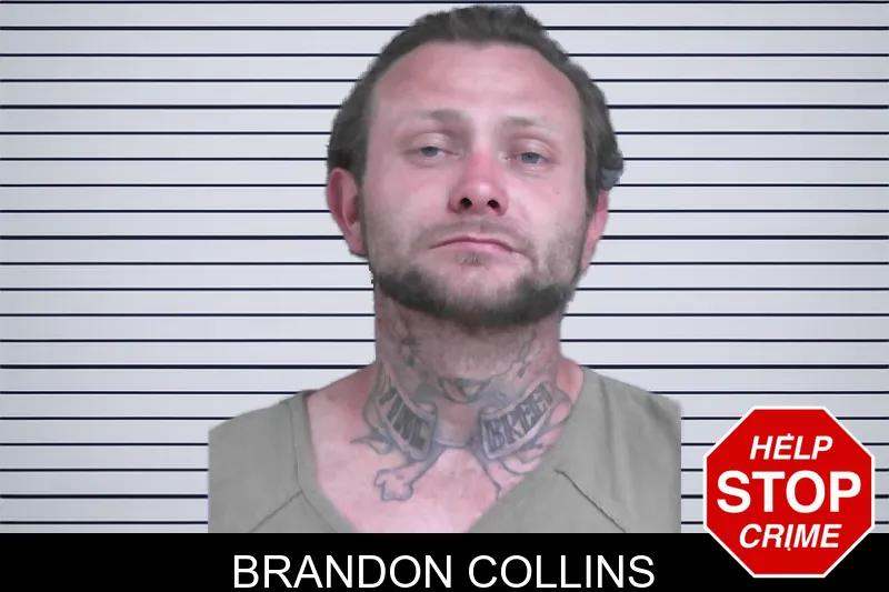 Brandon Collins mugshot