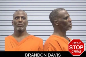 Brandon Davis mugshot