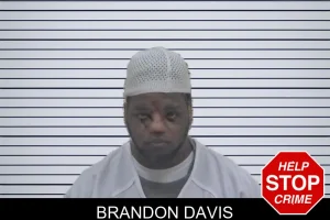 Brandon Davis mugshot