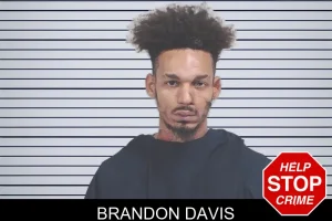 Brandon Davis mugshot