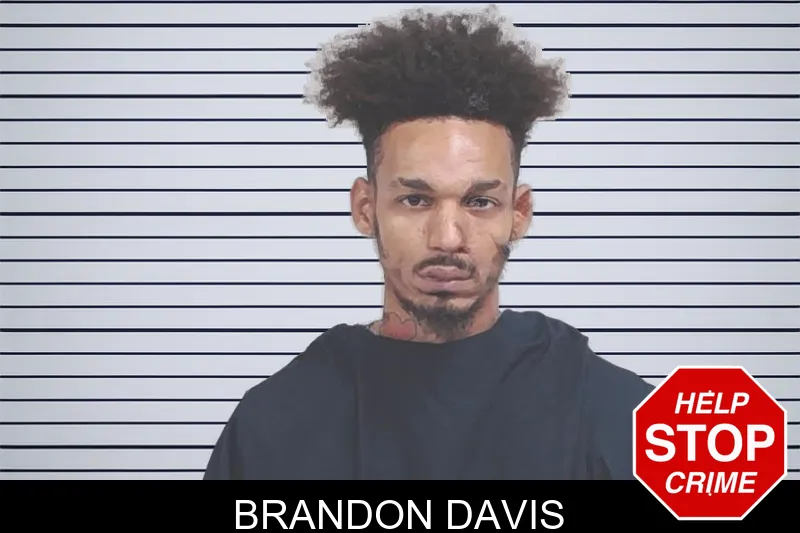 Brandon Davis mugshot