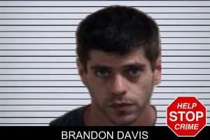 Brandon Davis mugshot