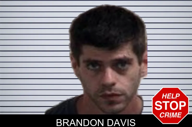 Brandon Davis mugshot