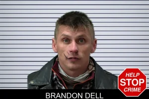 Brandon Dell mugshot