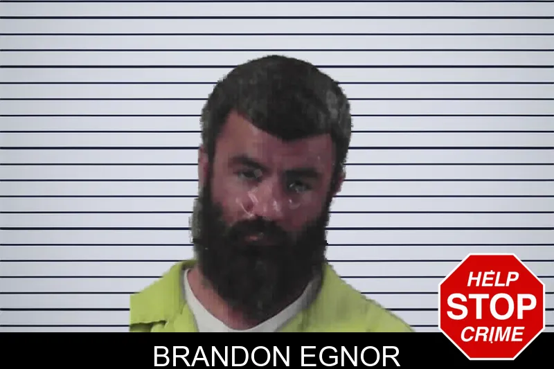 Brandon Egnor mugshot
