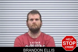 Brandon Ellis mugshot