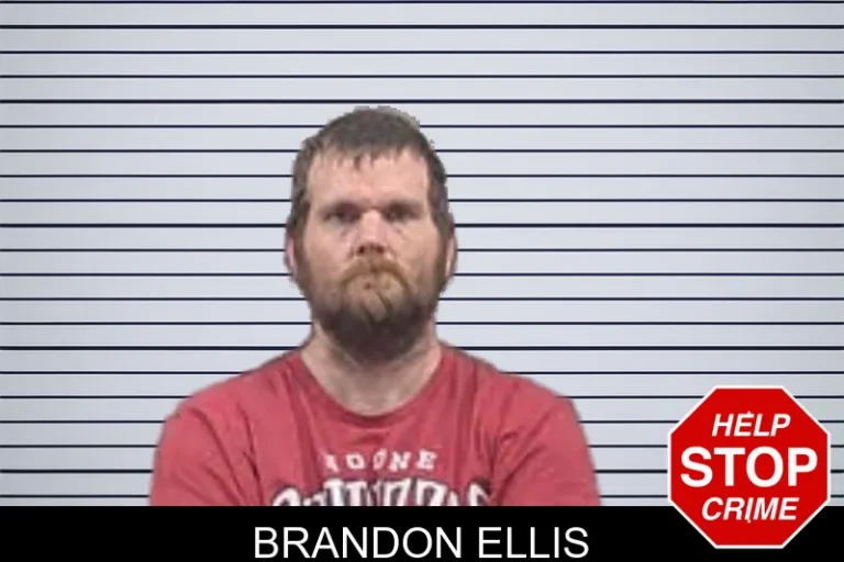 Brandon Ellis mugshot – Dade County , Georgia Brandon Ellis