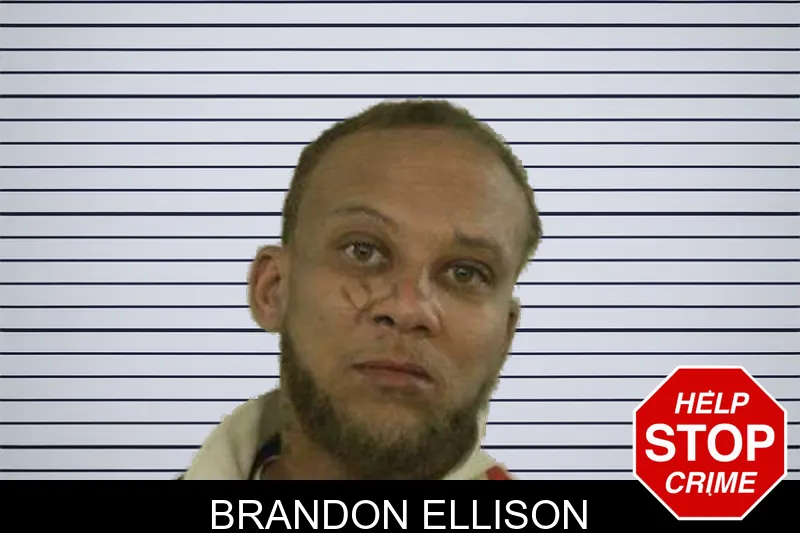 Brandon Ellison mugshot