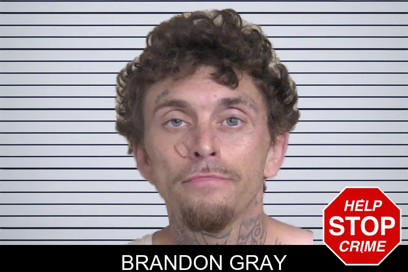 Brandon Gray mugshot – Walker County , Georgia Brandon Gray mugshot