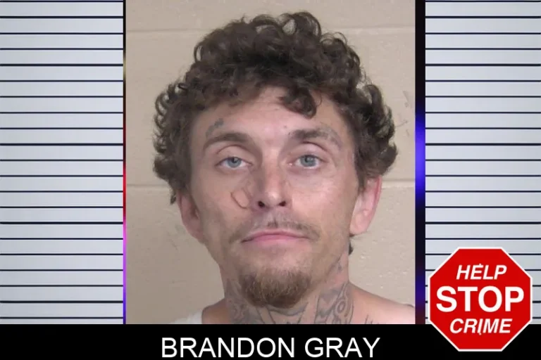 Brandon Gray mugshot – Walker County , Georgia Brandon Gray