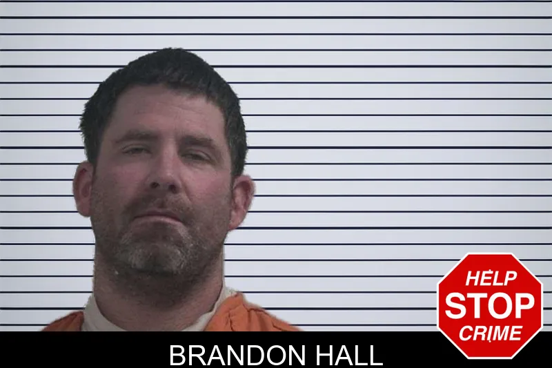 Brandon Hall mugshot – McDuffie County , Georgia Brandon Hall mugshot