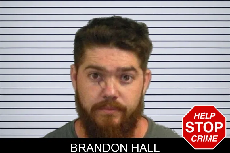 Brandon Hall mugshot