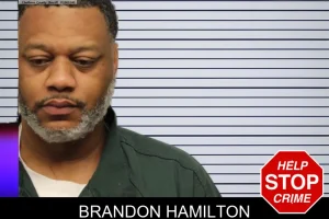 Brandon Hamilton mugshot